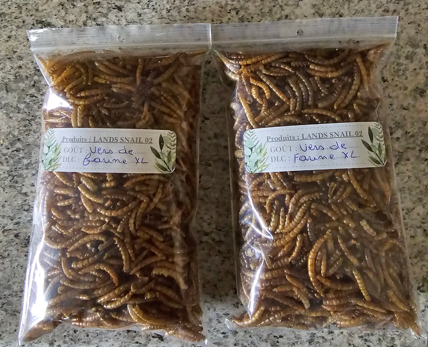 Vers de farine 30 gr et 60 gr