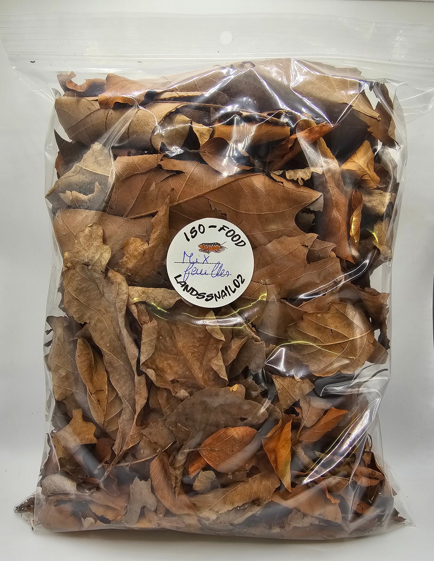 Feuilles isopodes , iules et escargots géants