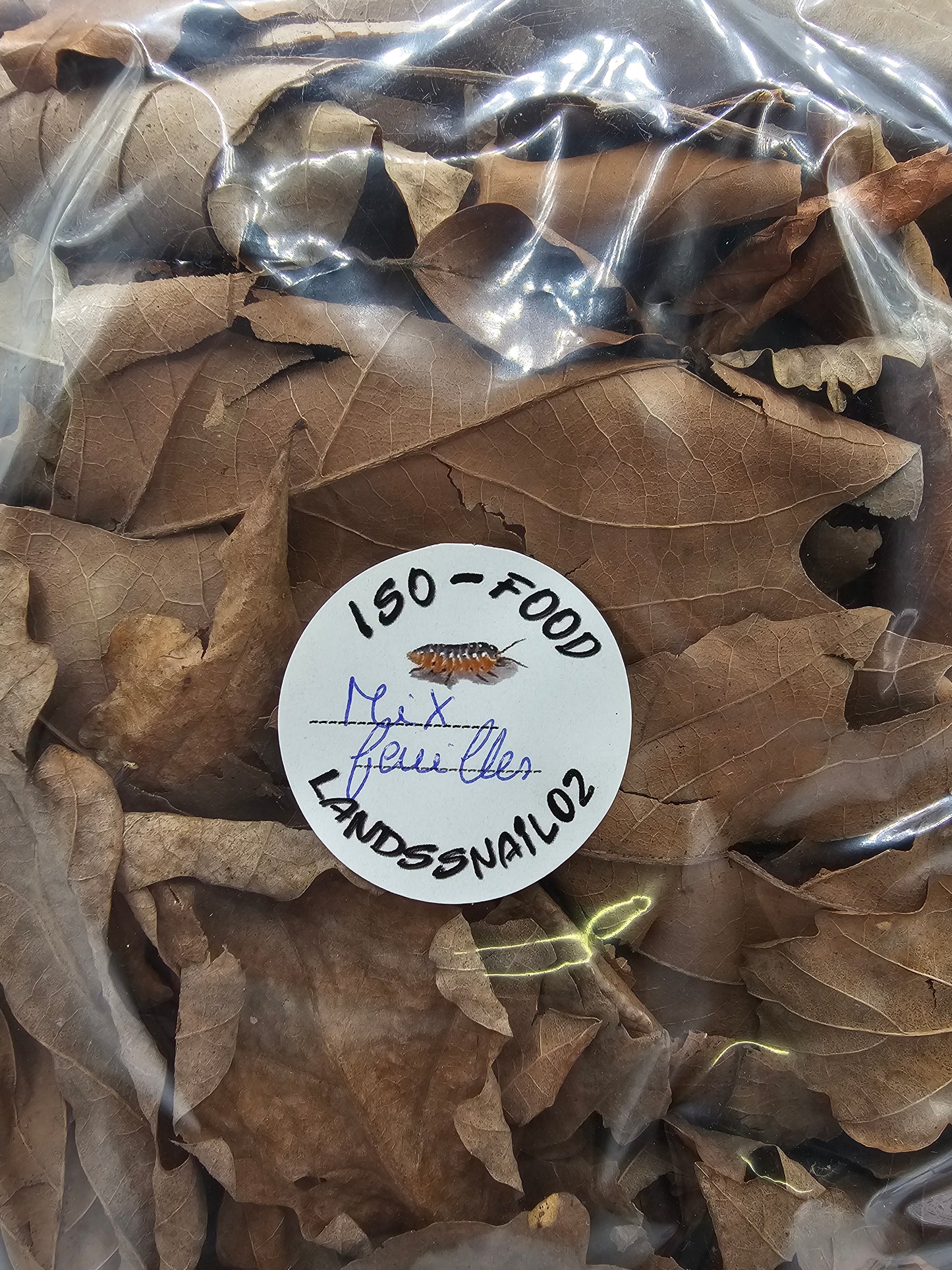 Feuilles isopodes , iules et escargots géants