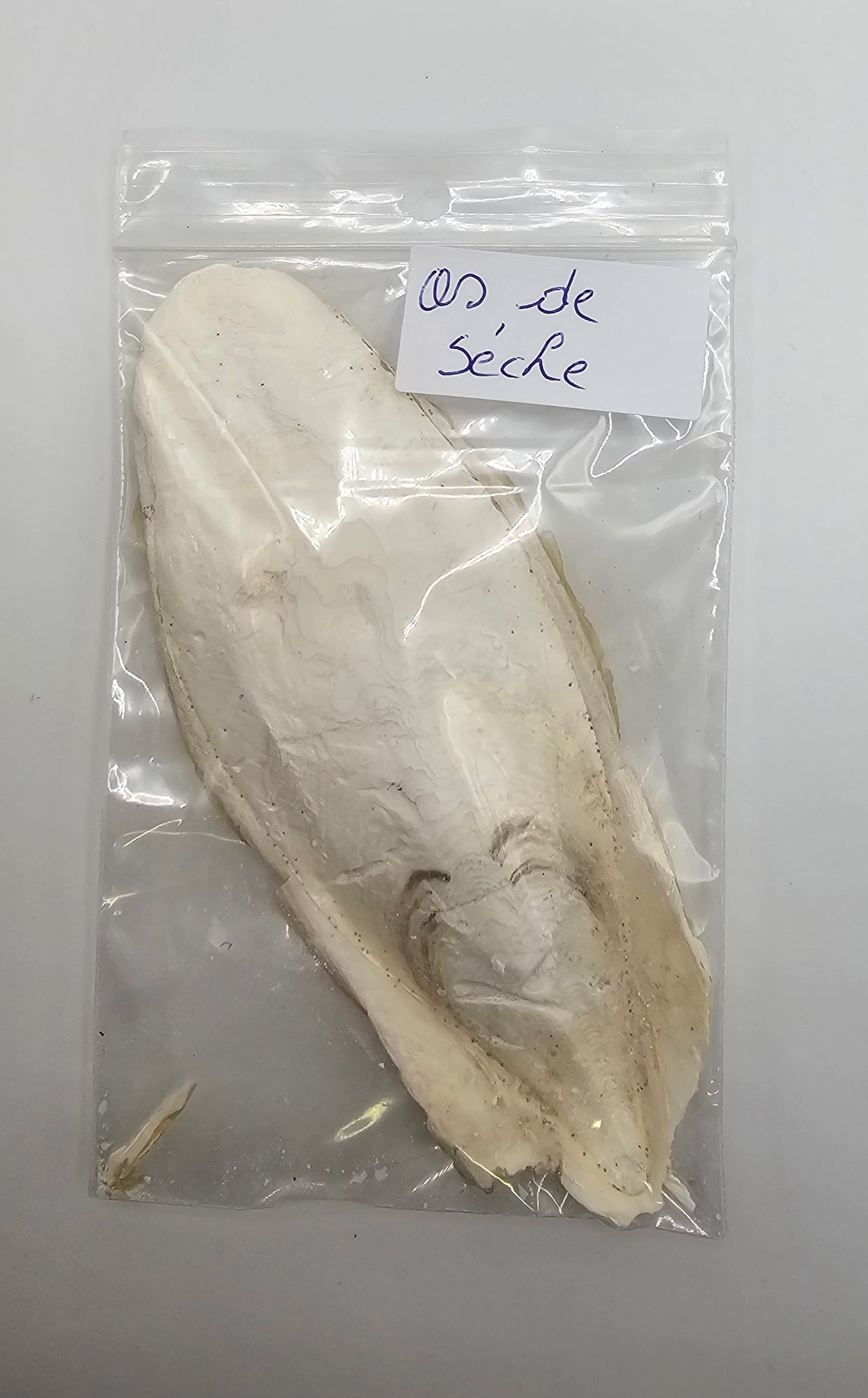 Os de seiche