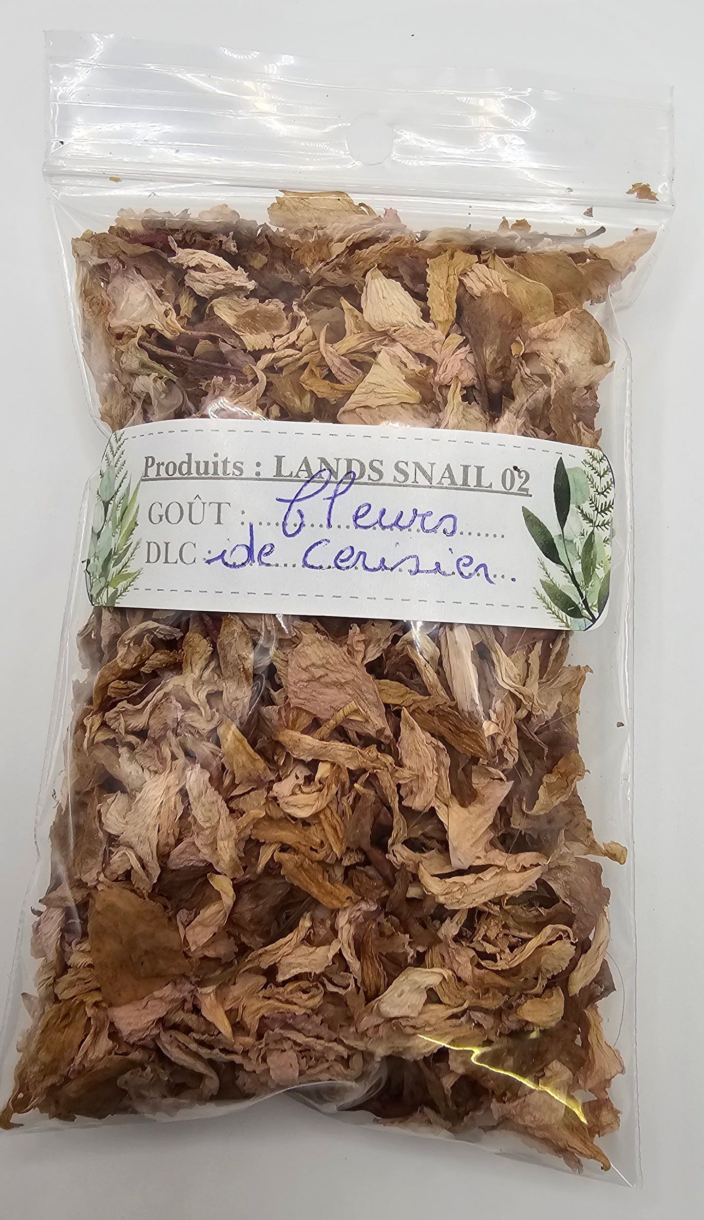 Fleurs de cerisier.