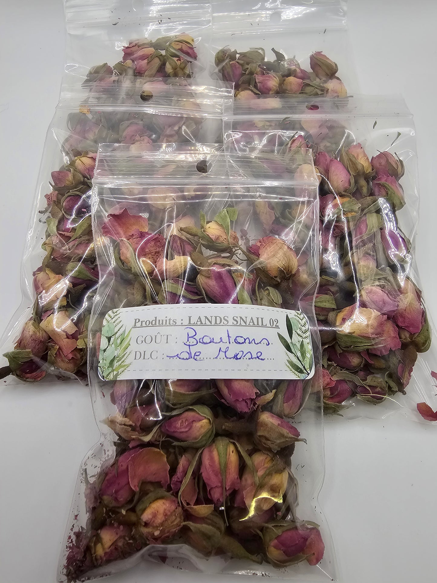Boutons de rose