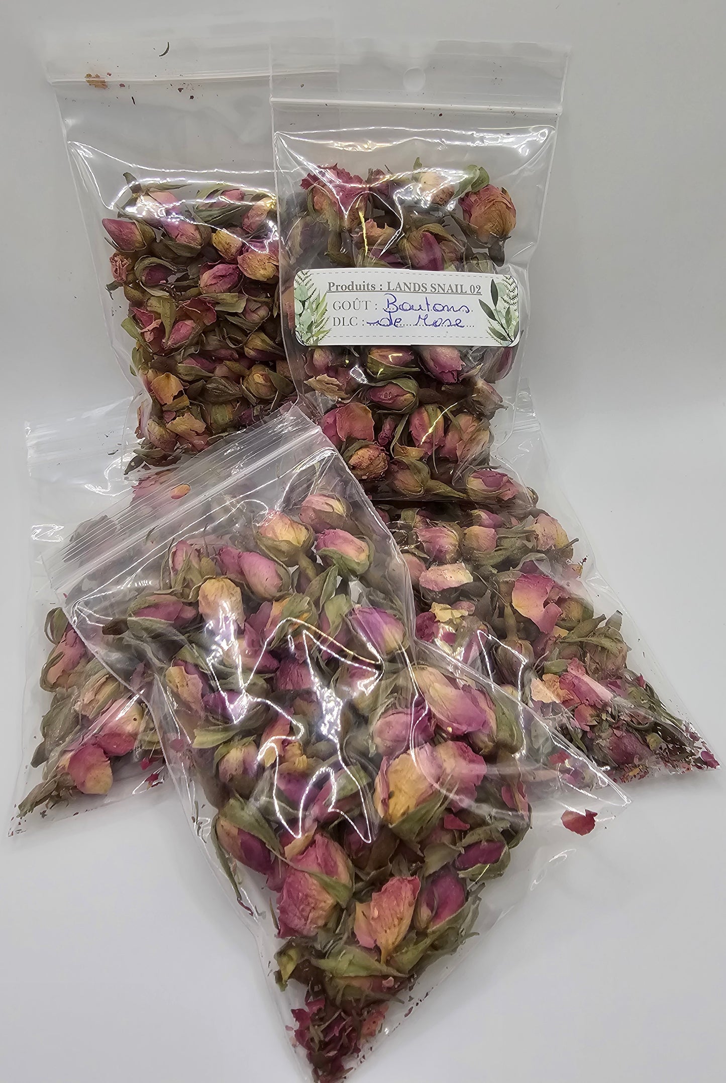 Boutons de rose