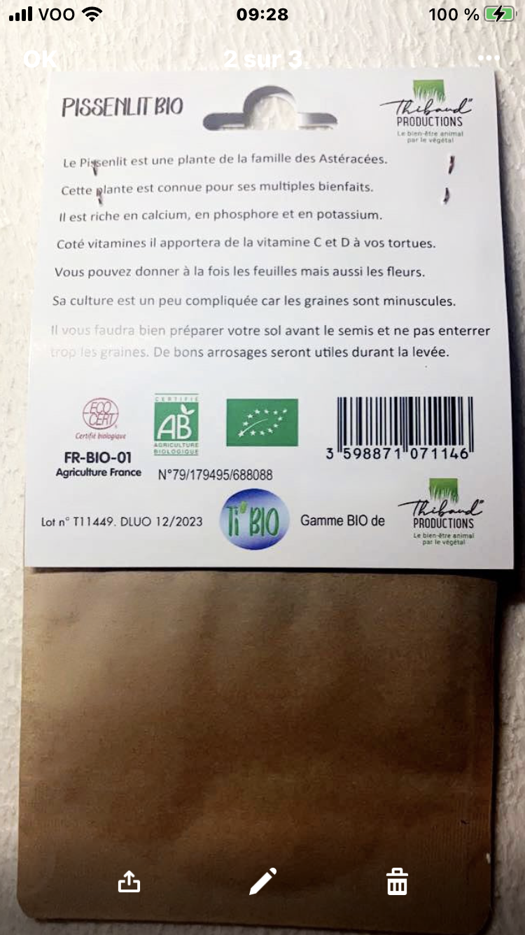 Graines BIO à semer