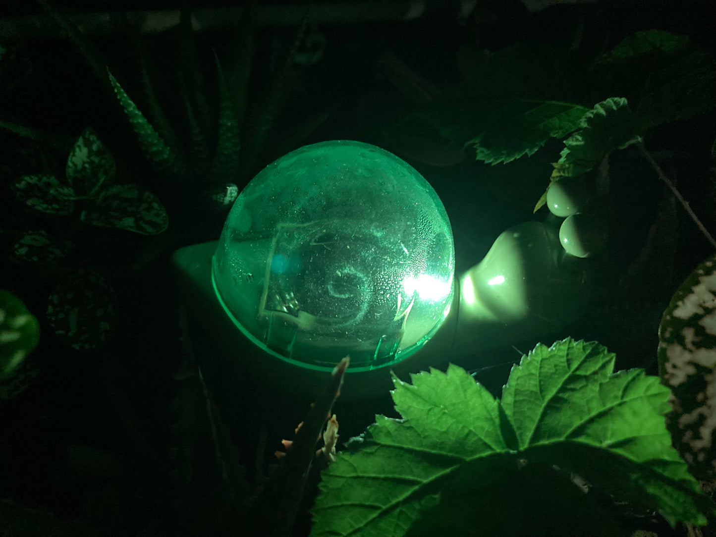 Lampe solaire " escargot "