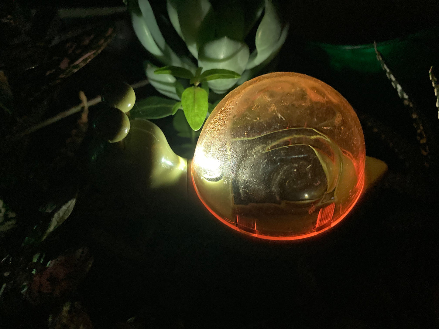 Lampe solaire " escargot "