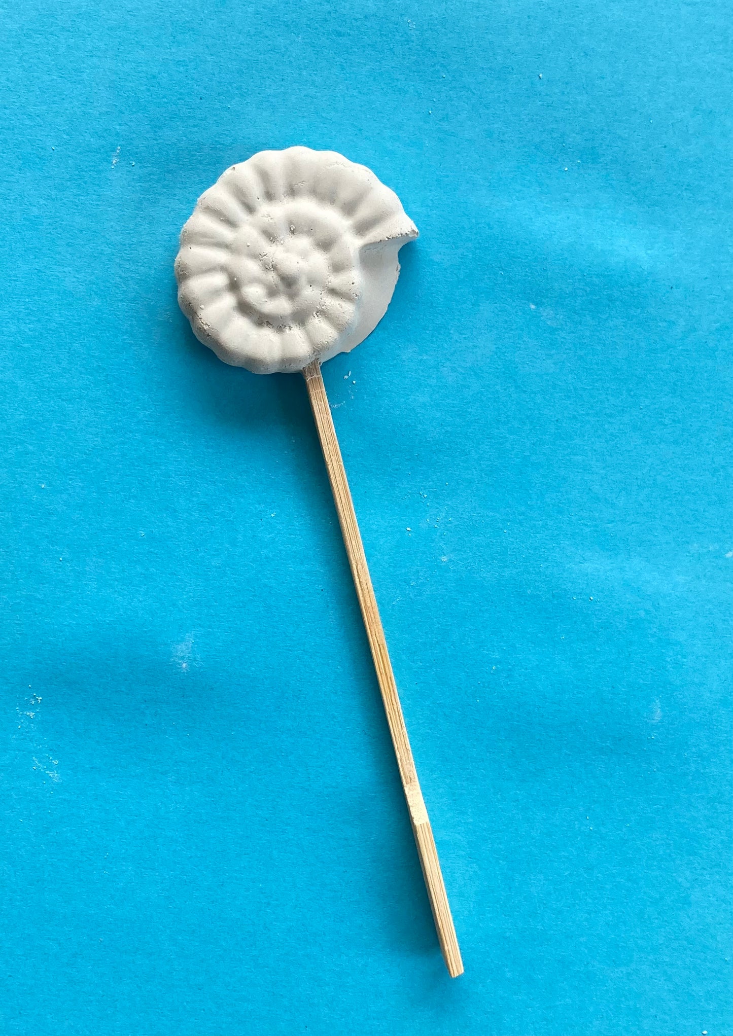Gâteaux de calcium de la mer