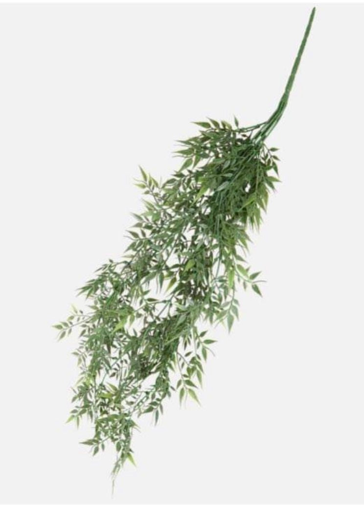Plantes tombantes