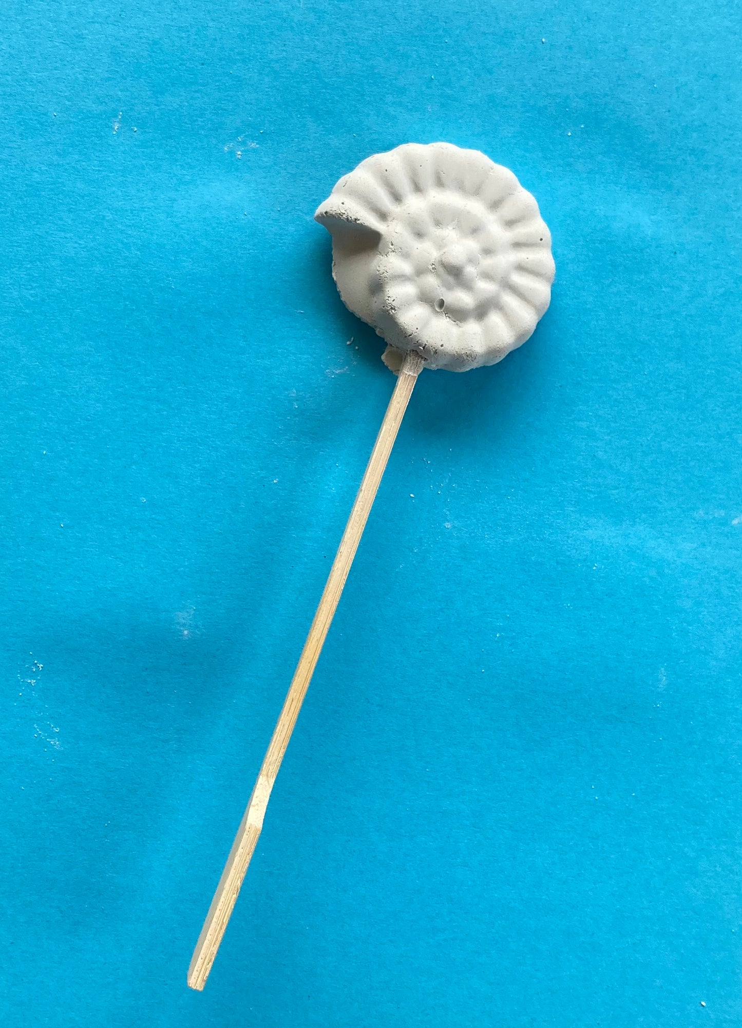 Gâteaux de calcium de la mer