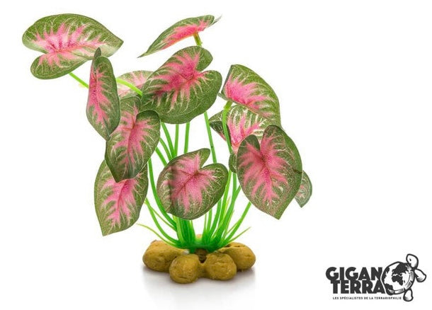 Plantes sur pieds