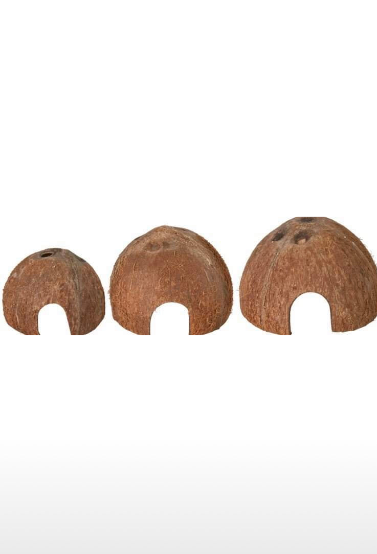 Décoration de 3 Maisons en noix de coco