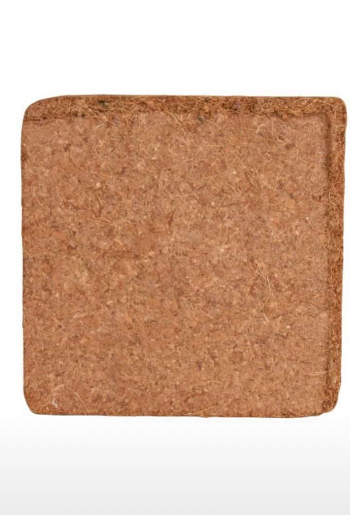 Humus de coco 2 L