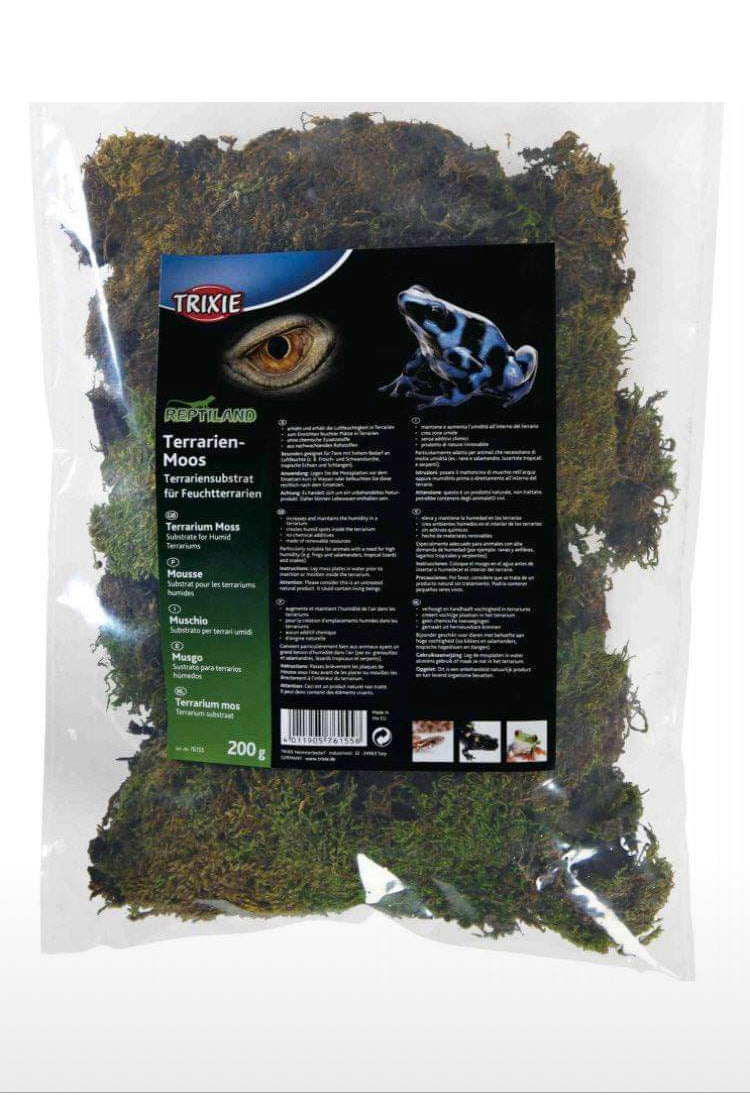 Mousse pour terrarium 200gr