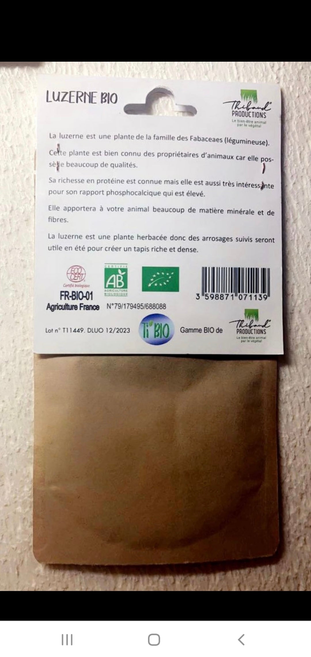 Graines BIO à semer