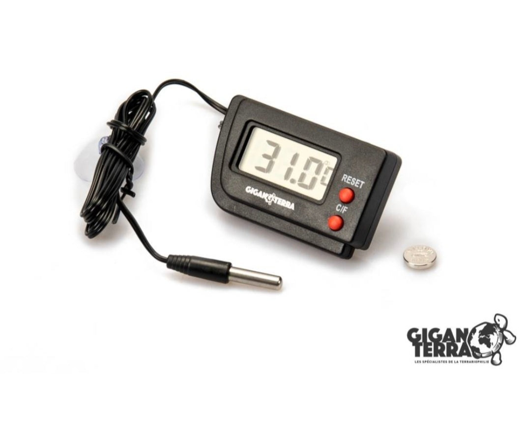 Thermomètre digitale.