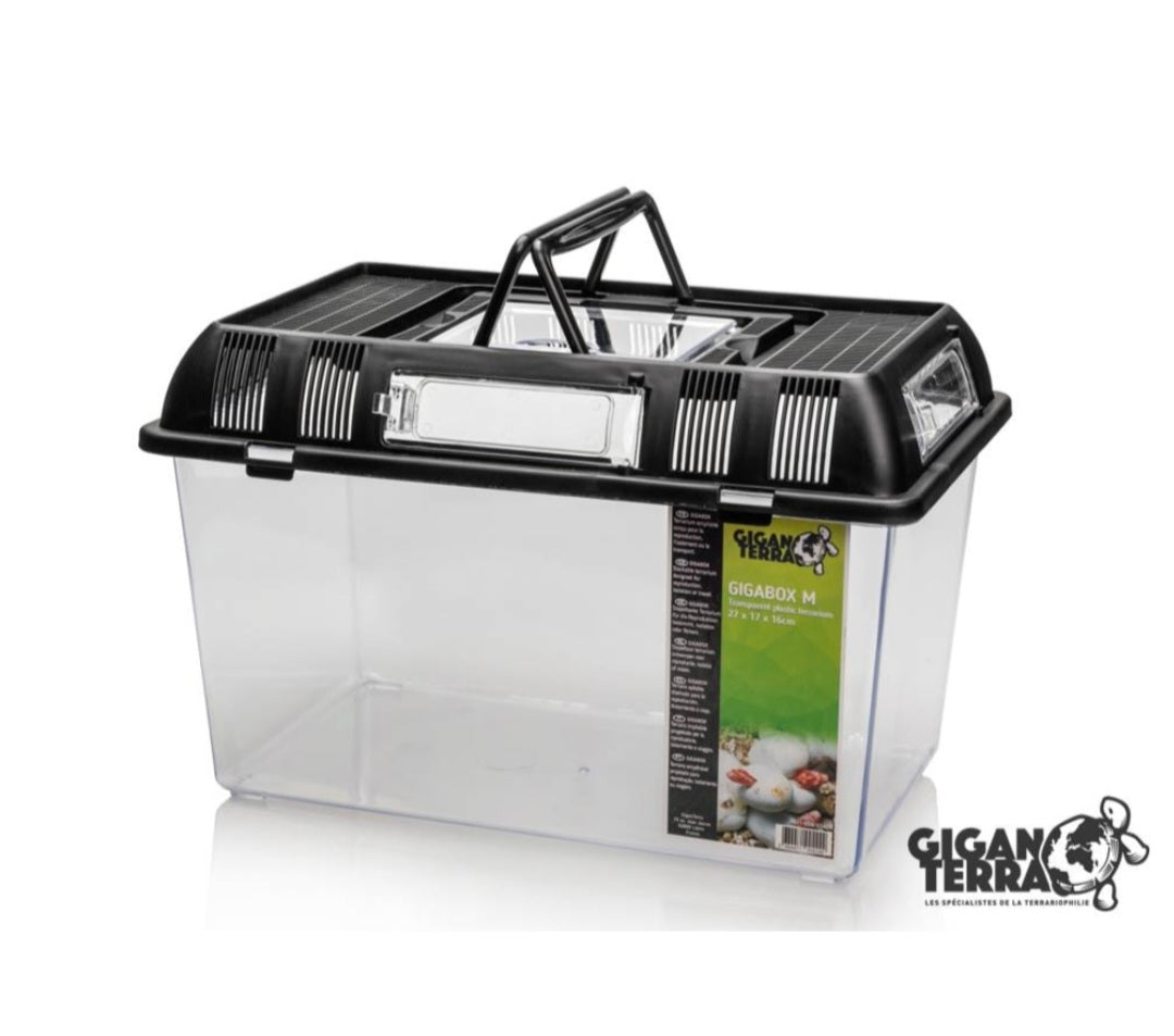 Gigabox M