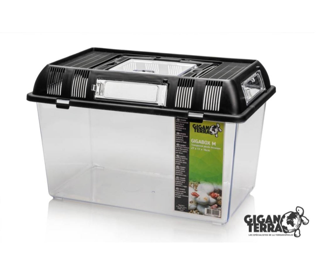 Gigabox M