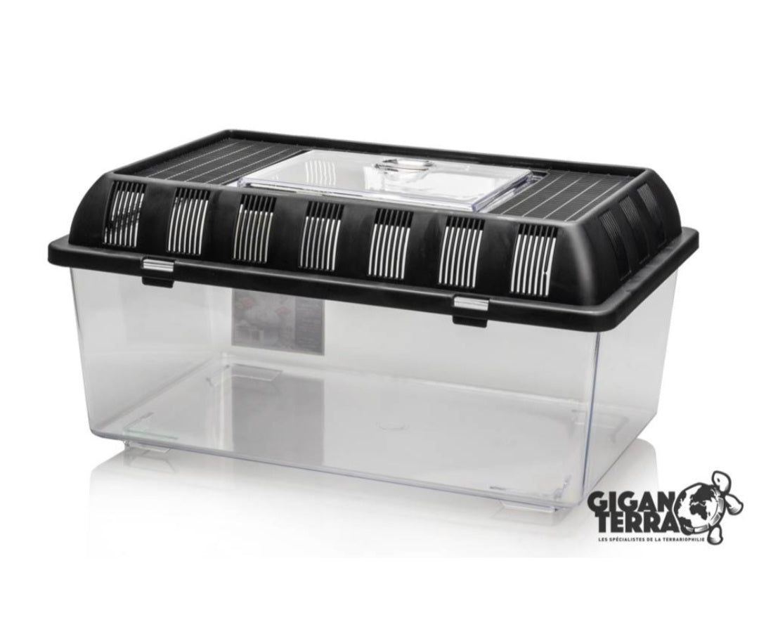 Gigabox L .