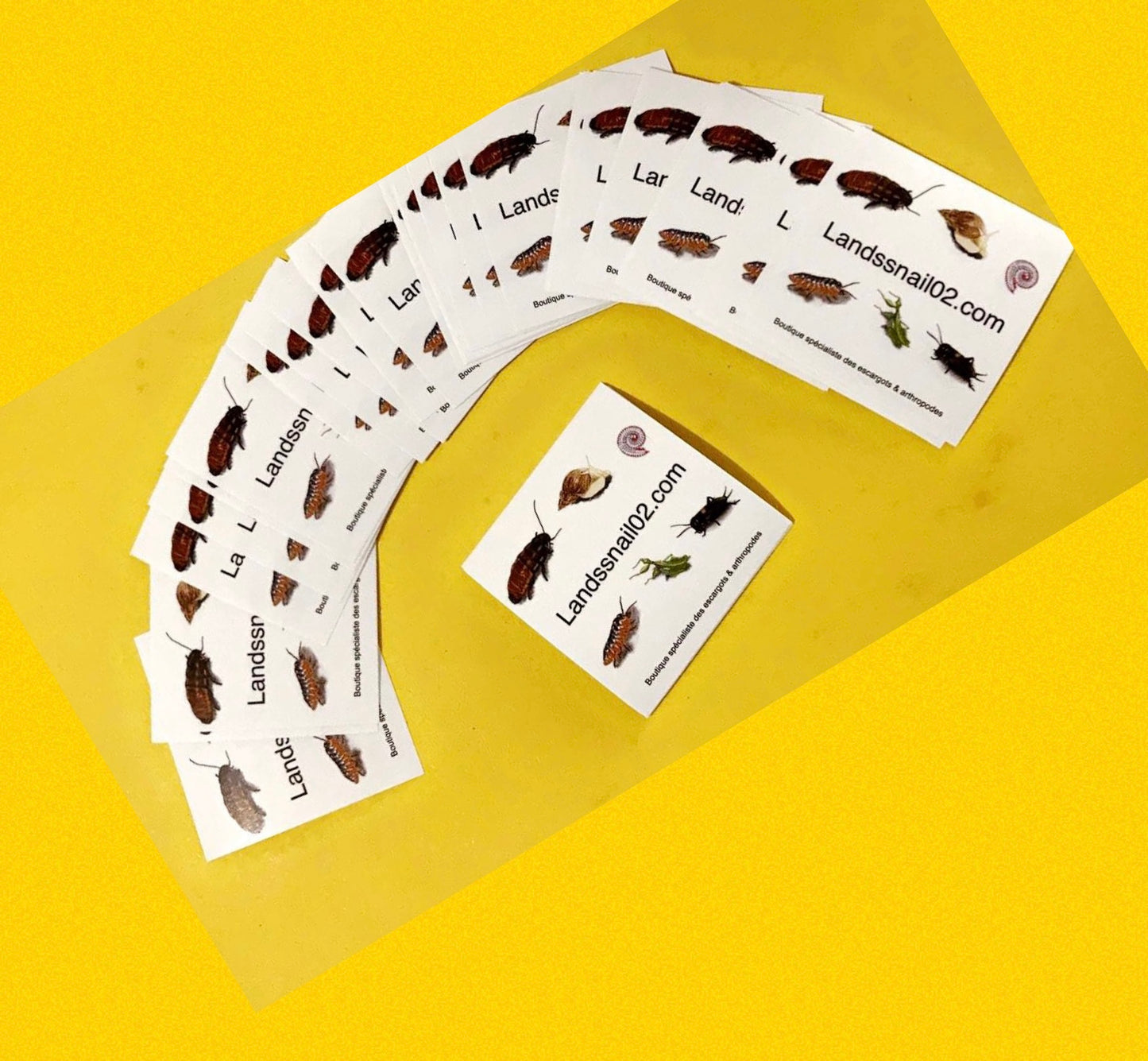 Stickers lands snail 02 " autocollant "