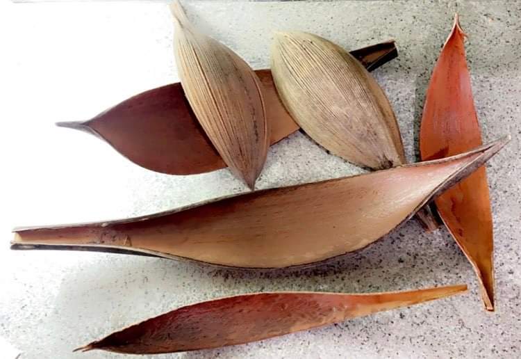 Décoration feuille de coco