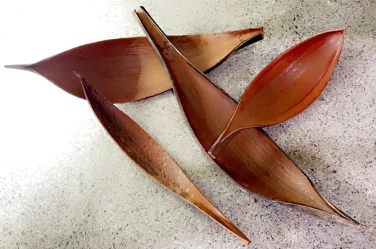 Décoration feuille de coco