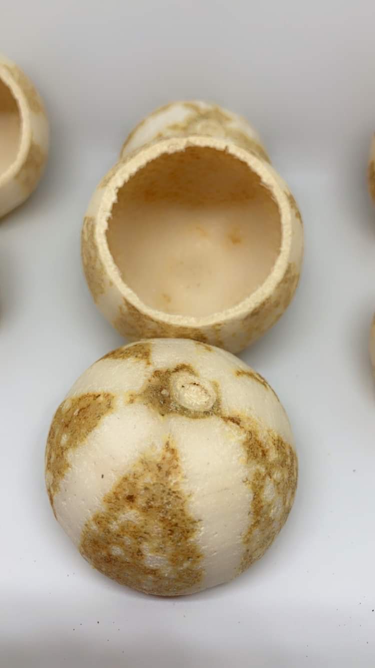 Décoration pumpkin bell cups