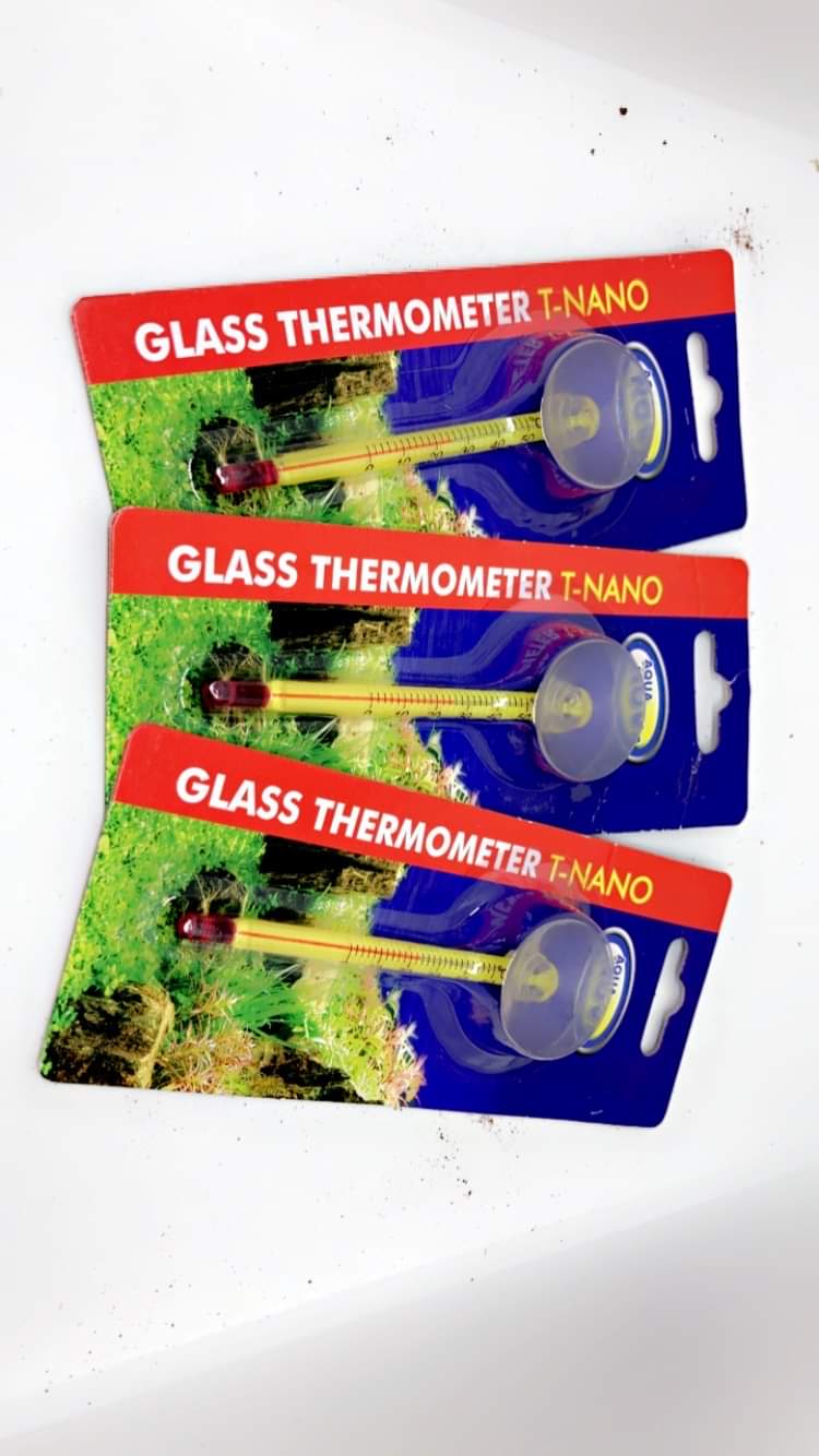 Thermomètre discret