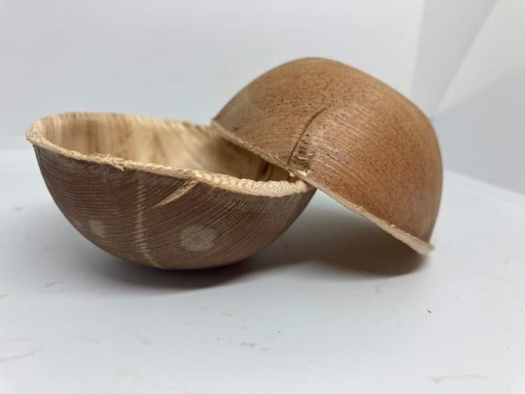 Écuelle en palme 2 pcs