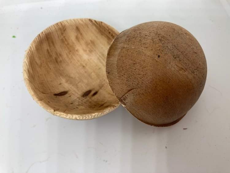 Écuelle en palme 2 pcs