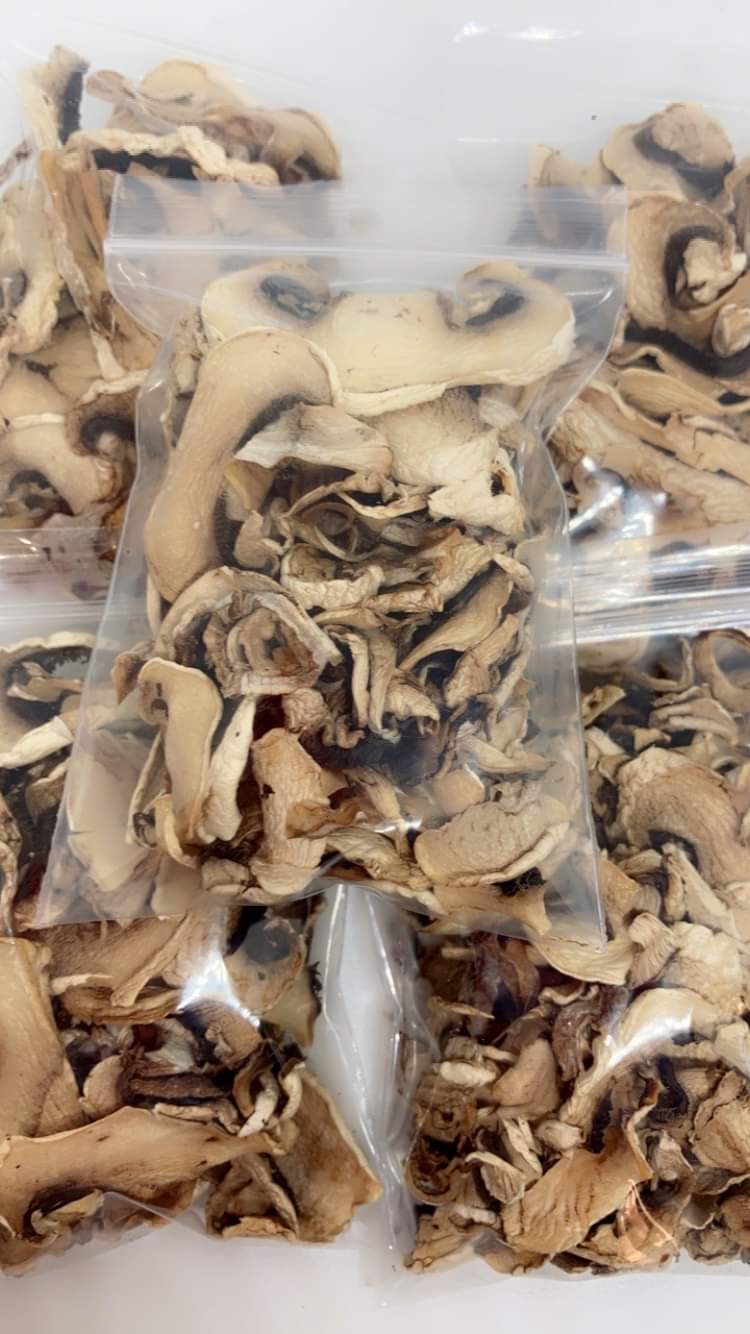 Champignons déshydratés 5gr