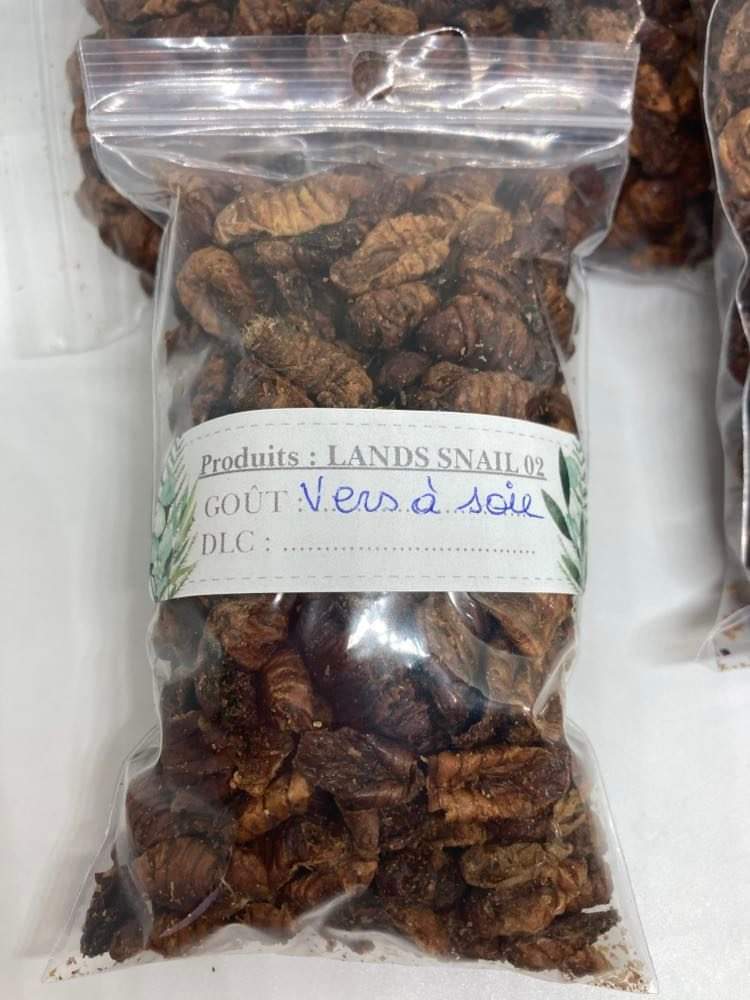 Vers à soie.
