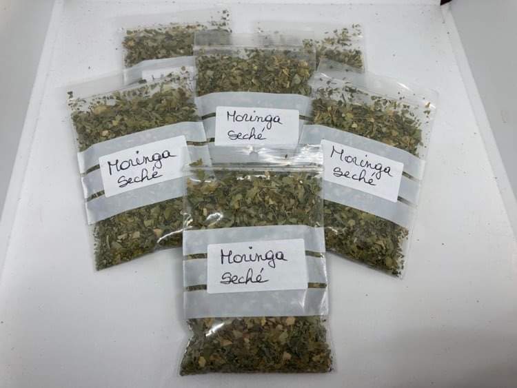 Moringa séché 5gr