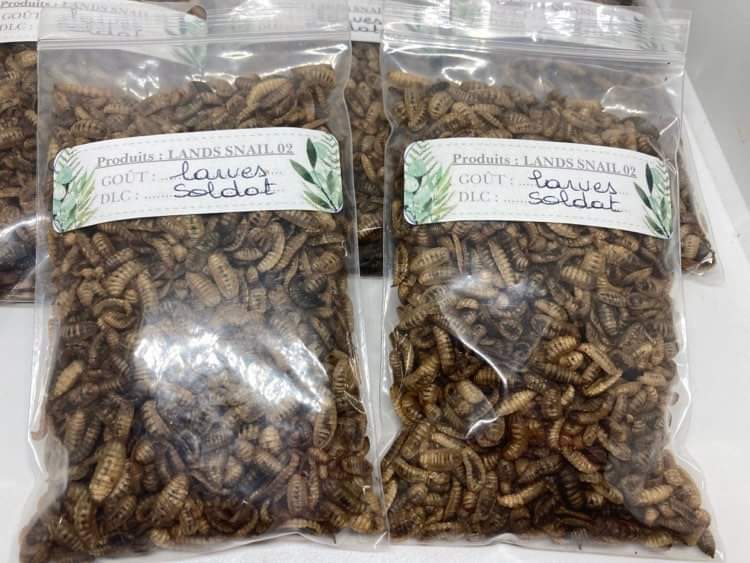 Larves de mouche soldat 30 gr