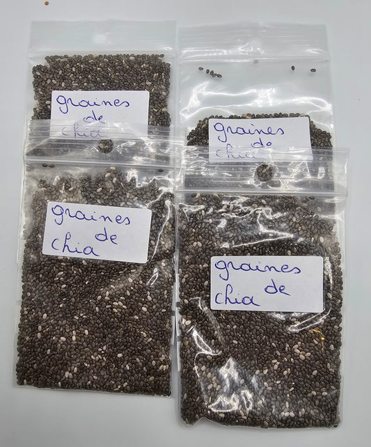Graines de chia